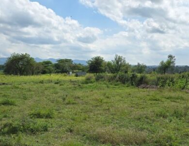 TERRENO 12.000m2 EN SALADAS - CORRIENTES